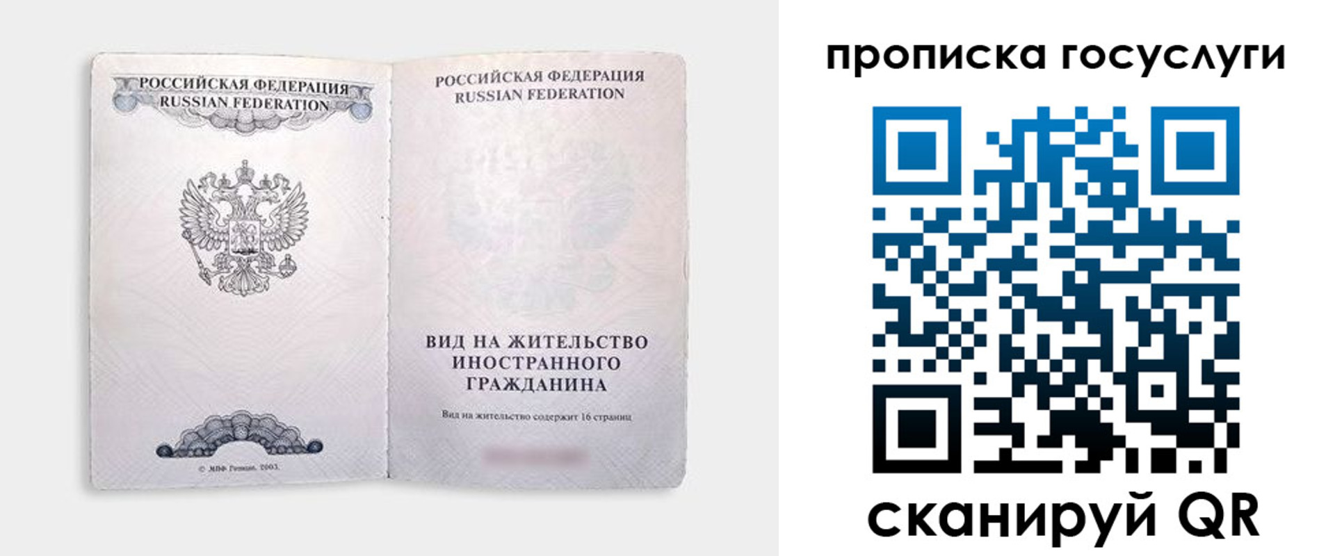 прописка поиск в Невеле